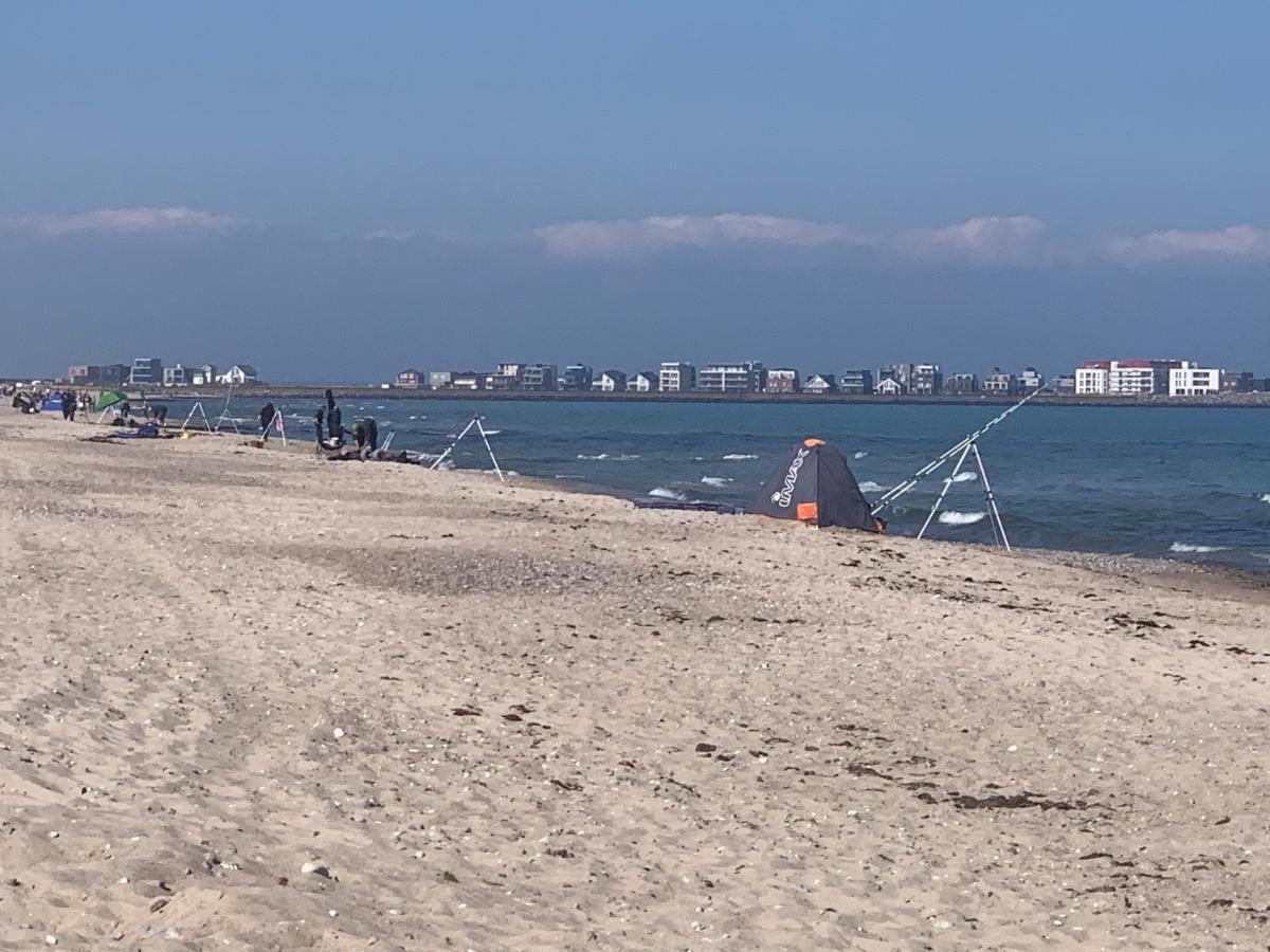 Segelund - Zeit Fuer Uns- Ruhige Und Sonnige Ferienwohnung Mit Terrasse Und Garten Nahe Strand Und Ostsee Schönhagen Exterior foto